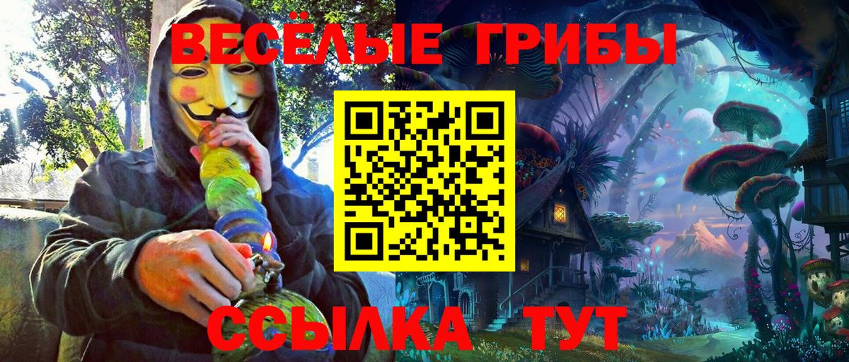 Псилоцибиновые грибы Cubensis  Галлюциногенные грибы Psilocybe  Вход с VPN  Нововоронеж 