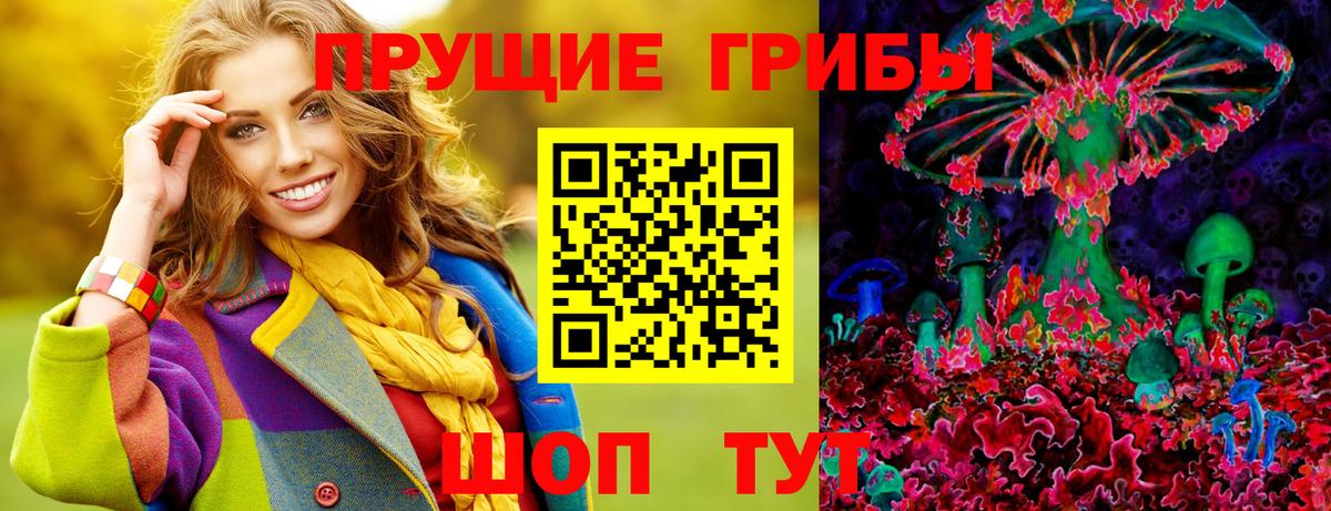 Галлюциногенные грибы Psilocybe Нововоронеж